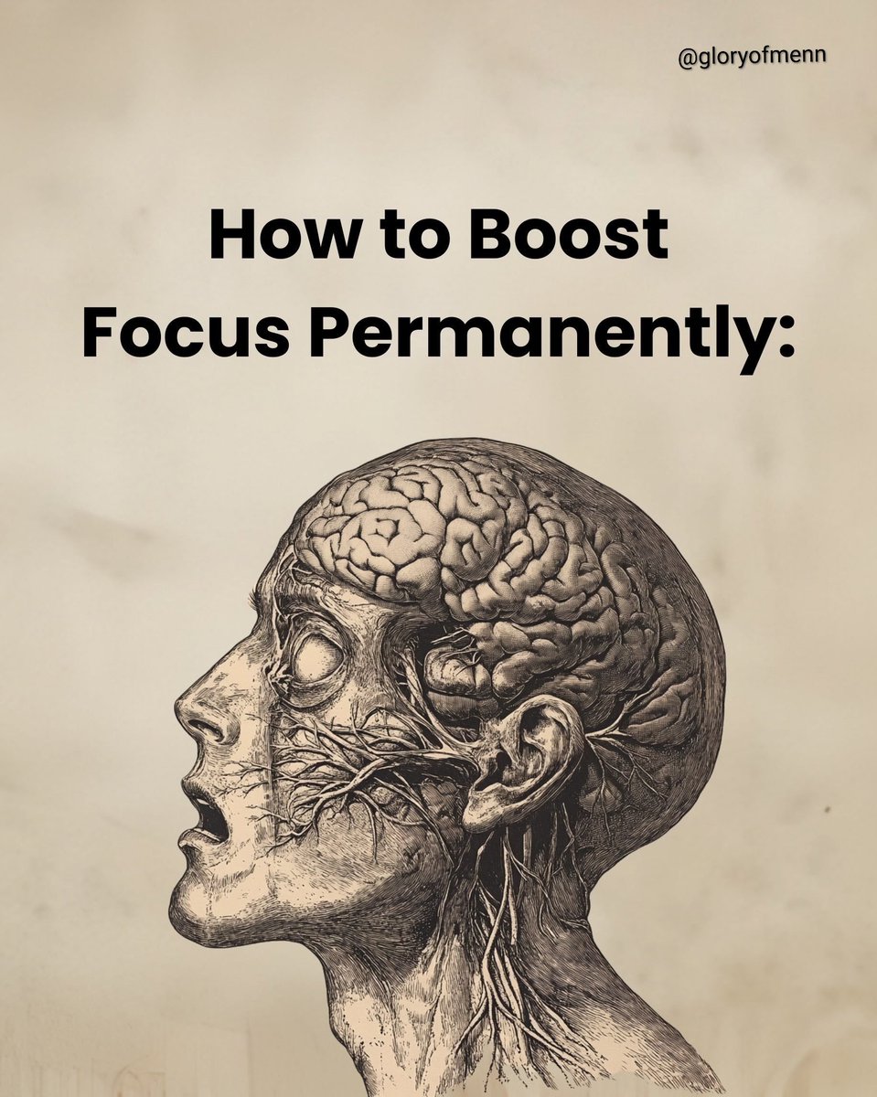 GloryOfmenn's tweet photo. How to Boost Focus Permanently:

//Thread//🧵 https://t.co/zRXEoZlixw
