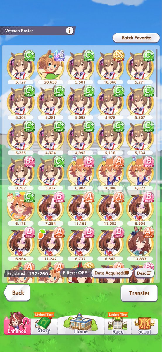 SmoePoe's tweet photo. My sea of Umas https://t.co/1umS9rX4xE