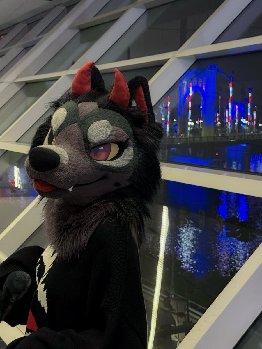 ThornWoof's tweet photo. Pretty lights 🎇 https://t.co/RaNsoQvEDN