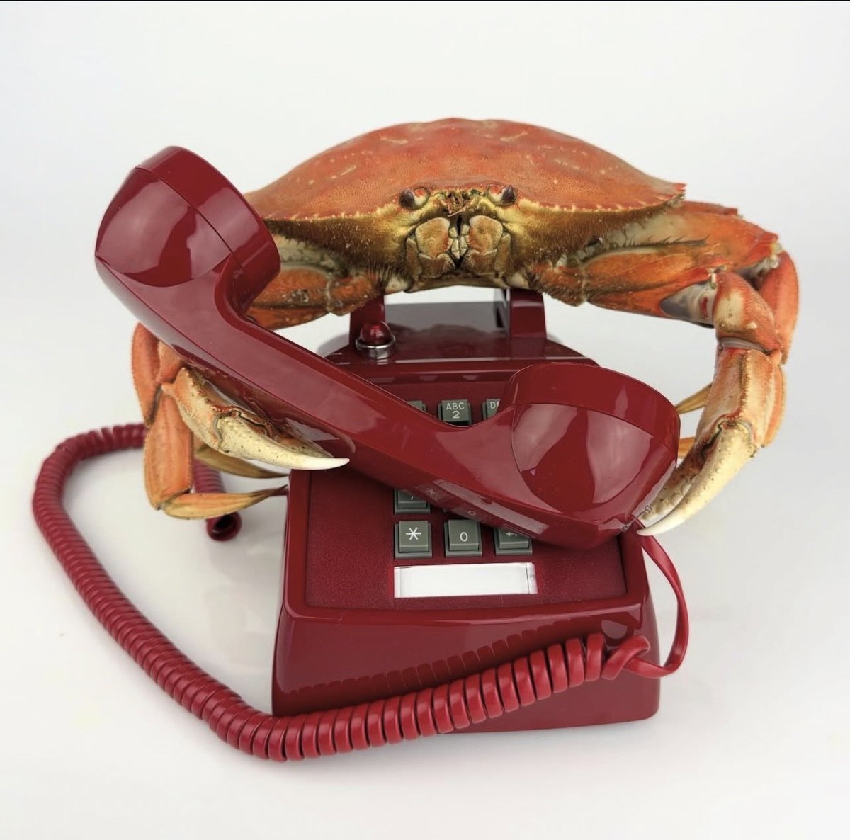 antifebu's tweet photo. @MrWhale ApxoLn6MfTTKkmuNEDFgxQmP2w8Qc57Ehi6EbFkCpump  callout the crab https://t.co/69uCdaLwZz