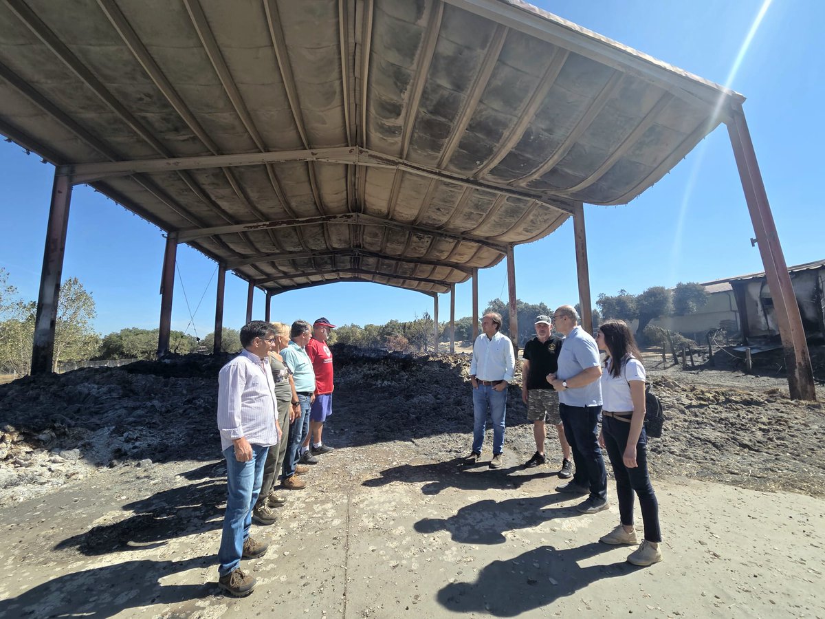 jcyl's tweet photo. .@jcyl comenzará mañana el reparto de paja y forraje para las zonas afectadas por el #IFFermoselle para asegurar la alimentación de los animales y favorecer la continuidad de la actividad en las explotaciones perjudicadas
https://t.co/uoa6uUHb2k https://t.co/fQ8fvbLGlD