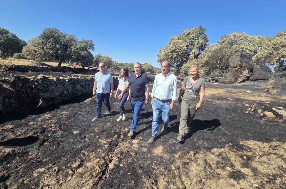 jcyl's tweet photo. .@jcyl comenzará mañana el reparto de paja y forraje para las zonas afectadas por el #IFFermoselle para asegurar la alimentación de los animales y favorecer la continuidad de la actividad en las explotaciones perjudicadas
https://t.co/uoa6uUHb2k https://t.co/fQ8fvbLGlD