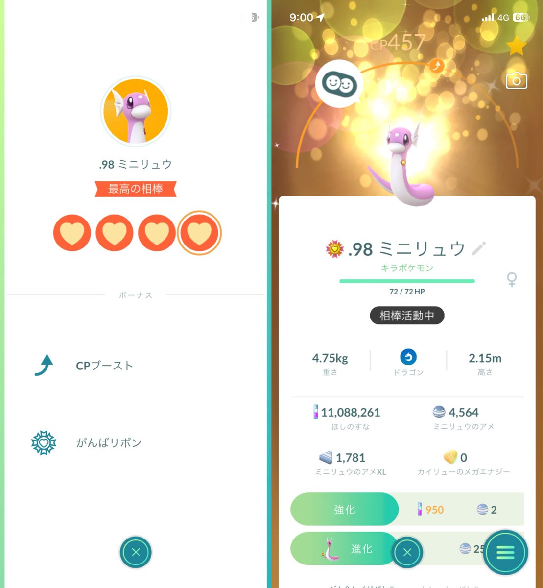 yukiGO_20210905's tweet photo. 「最高の相棒」になった310体目のポケモンはカラカラ、311体目はミニリュウ。

直近は色違い達にバッジを付けましたー✊
カラカラはこっちの色の方が好きかも。

ミニリュウの高個体は後もう1体ほすぃ…

次はホエルオーを最高の相棒にします🤝

#ポケモンGO https://t.co/owayFaITdM