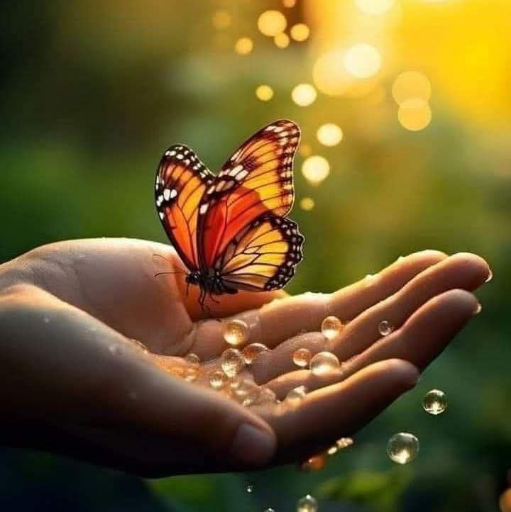 kafkaf351's tweet photo. İnsana, kelebek hayatta bir kere konar;
Kaçırırsan başka şansın yoktur.
Çünkü o kelebek 

Ertesi gün yoktur...!

~♡ Anton Cehov♡~ https://t.co/naJxzkLaSv