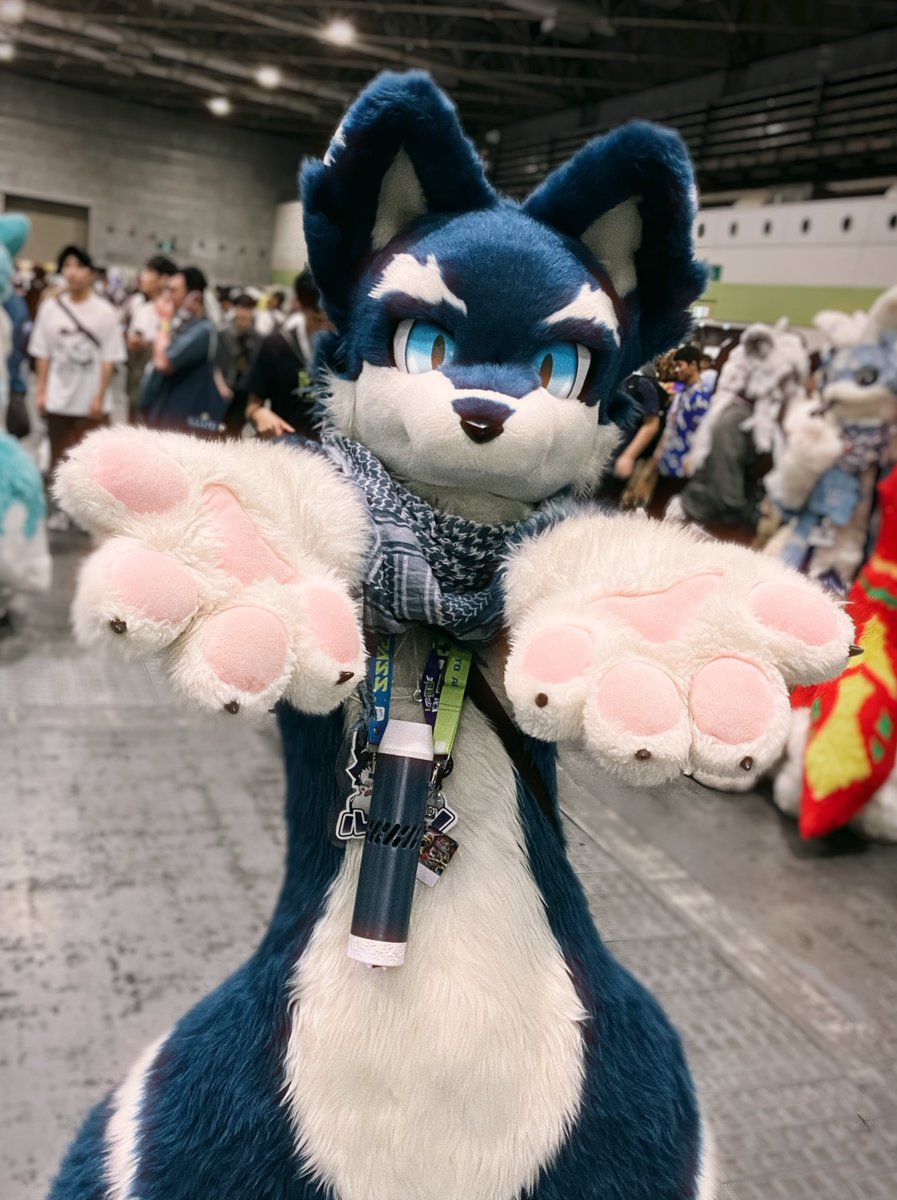 Yo_ru_uuu's tweet photo. かわいかった〜 https://t.co/N5TTNTQ4WC