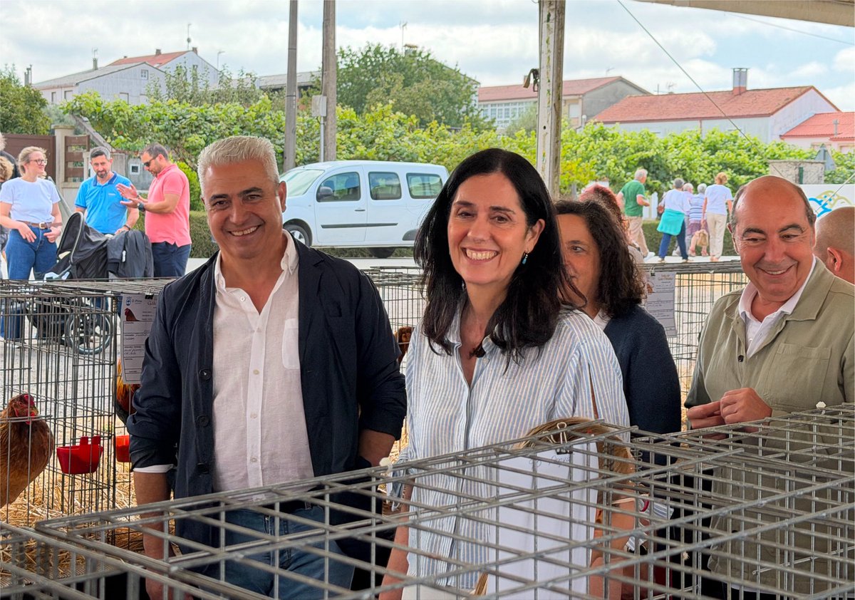 paulapra2's tweet photo. Como cada ano, a Festa do Galo Piñeiro é unha cita imprescindible no calendario 🐓

E neste 2026 con máis motivo, coa celebrando das vodas de prata desta festa gastronómica xunto aos veciños e veciñas do Pino 💙 https://t.co/To5dhAhl0j