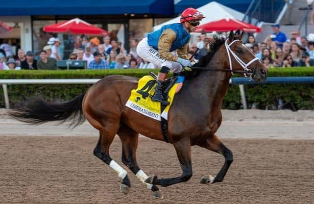 Horse Racing Nation tweet media