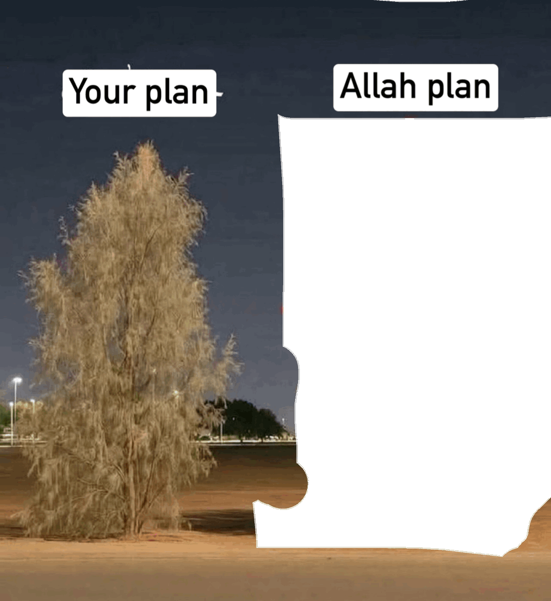 Elvideohat's tweet photo. Your plan vs Allah plan https://t.co/wUwNtDANI8