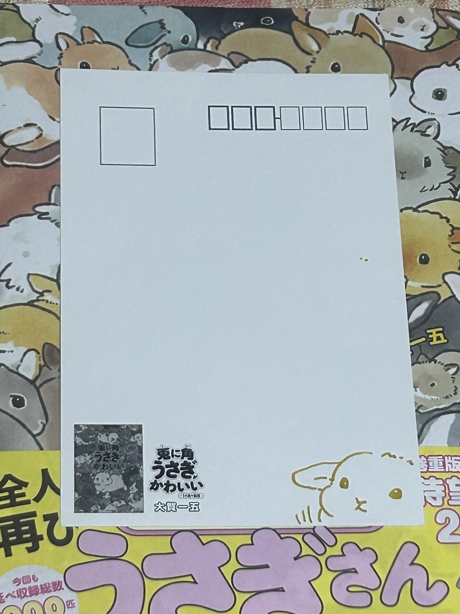 usapenchan's tweet photo. @taiga15 そうなんですね！
この子です🐰 https://t.co/Bi2fjkXXx2