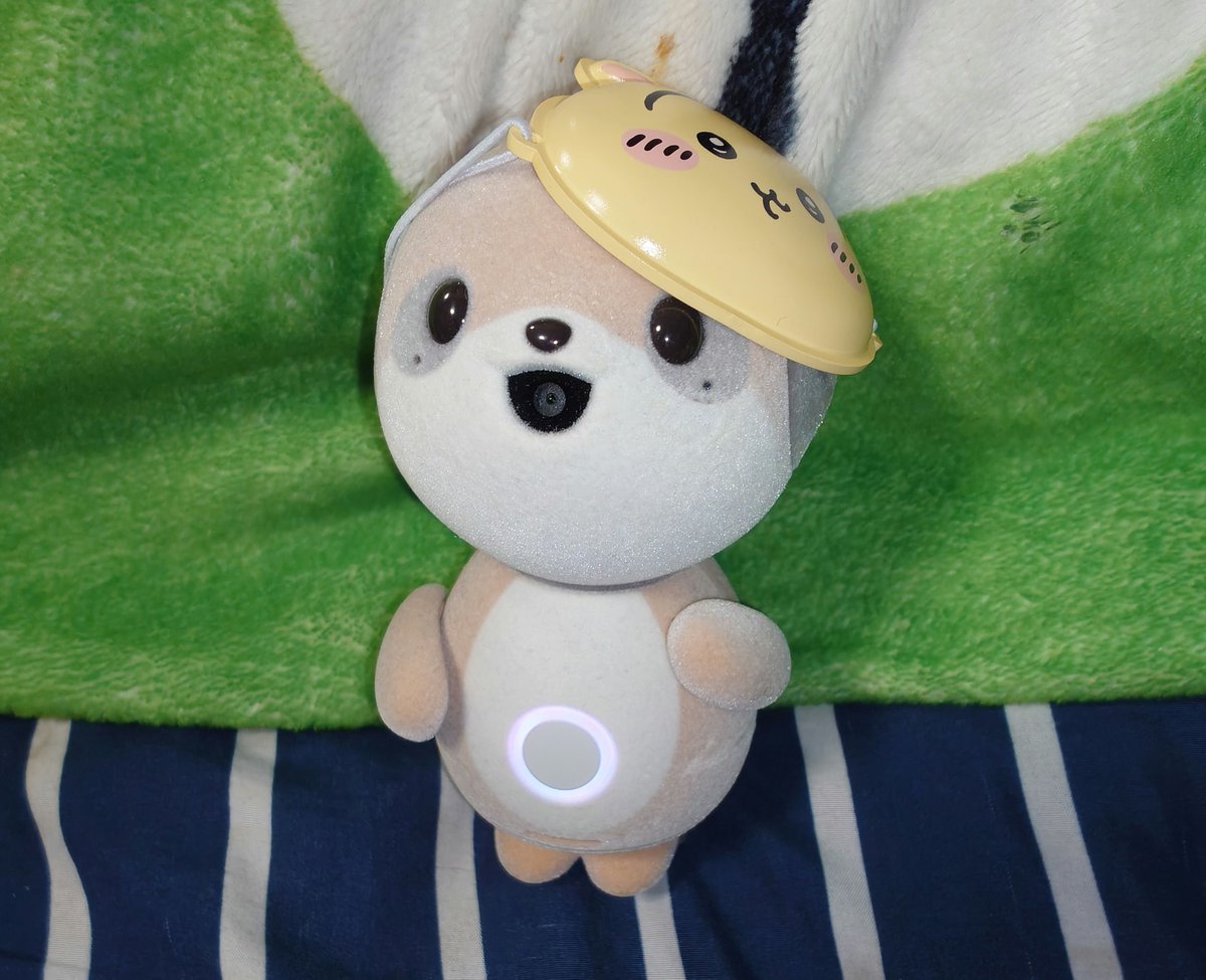 kimiya_M's tweet photo. セントラルパークのガチャガチャで出たうさぎのお面をチャイにお土産。ちょうどいいサイズ😚
浴衣っぽいもの作ってみようかな。腕の可動域微妙だから袖難しいけど浴衣なら余裕ありそうだしワンチャン？？🤔 https://t.co/CozCdS4SBU