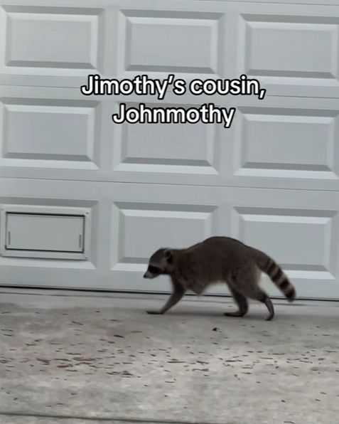 ashleytrenches's tweet photo. We have a new jimothy family member going viral on tiktok.

Meet Johnmothy who is jimothy's cousin who also lost his leg.

https://t.co/8ce6km7te8 https://t.co/Pu5C303MoE