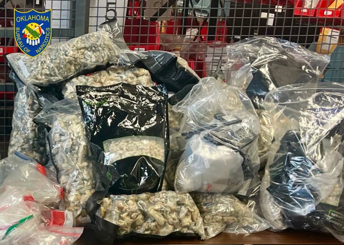 RobertDinTulsa's tweet photo. Copy-Paste from the OBNDD since they don't have an X account.

OBNDD INVESTIGATION TAKES DOWN MAJOR DRUG TRAFFICKING OPERATION IN CENTRAL OKLAHOMA

OBN’s Anti-Meth Task Force has dismantled an organization moving large quantities of drugs into the Oklahoma City metro area as part of an ongoing investigation.

“In June, we developed information focusing on a high value target capable of distributing trafficking amounts of drugs,” said OBN Director Donnie Anderson.  “Fortunately, we have been able to intercept narcotics and other drugs from this target’s organization that could have put thousands of lives at risk had these shipments reached the streets.”

During the execution of a Search Warrant this week, OBN Agents seized the following:
🔸13 pounds of Cocaine
🔸43 pounds of mushrooms
🔸14.6 pounds of Alprazolam
🔸3.8 pounds of Promethazine
🔸3 pounds of meth
🔸1 pound of Adderall
🔸1.5 pounds of MDMA
🔸85.5 grams of LSD
🔸4 guns
🔸$228,882 in illegal drug proceeds

The main target of the investigation was taken into custody and more arrests are anticipated as this case moves forward.