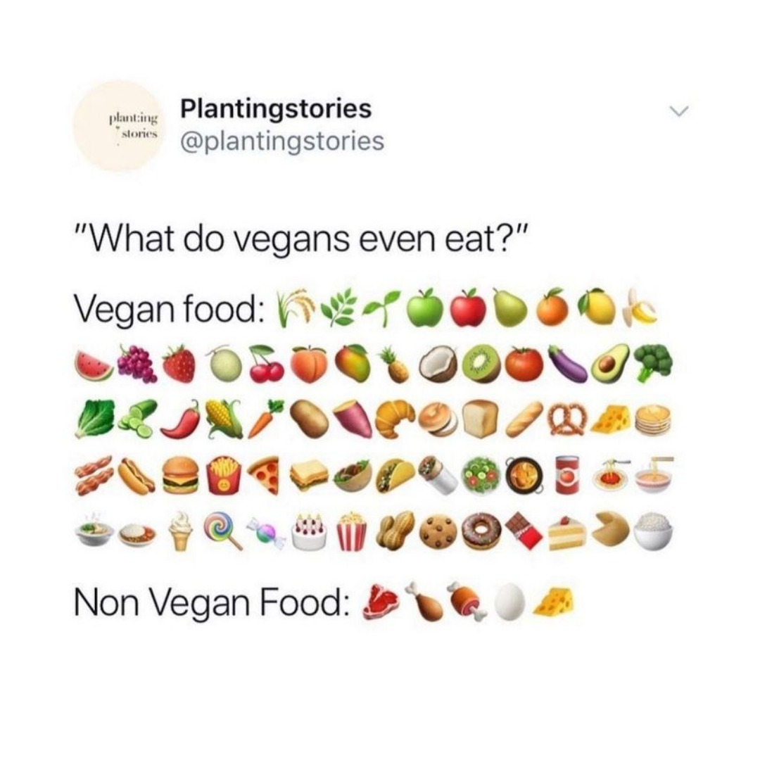 Plant Based News tweet media