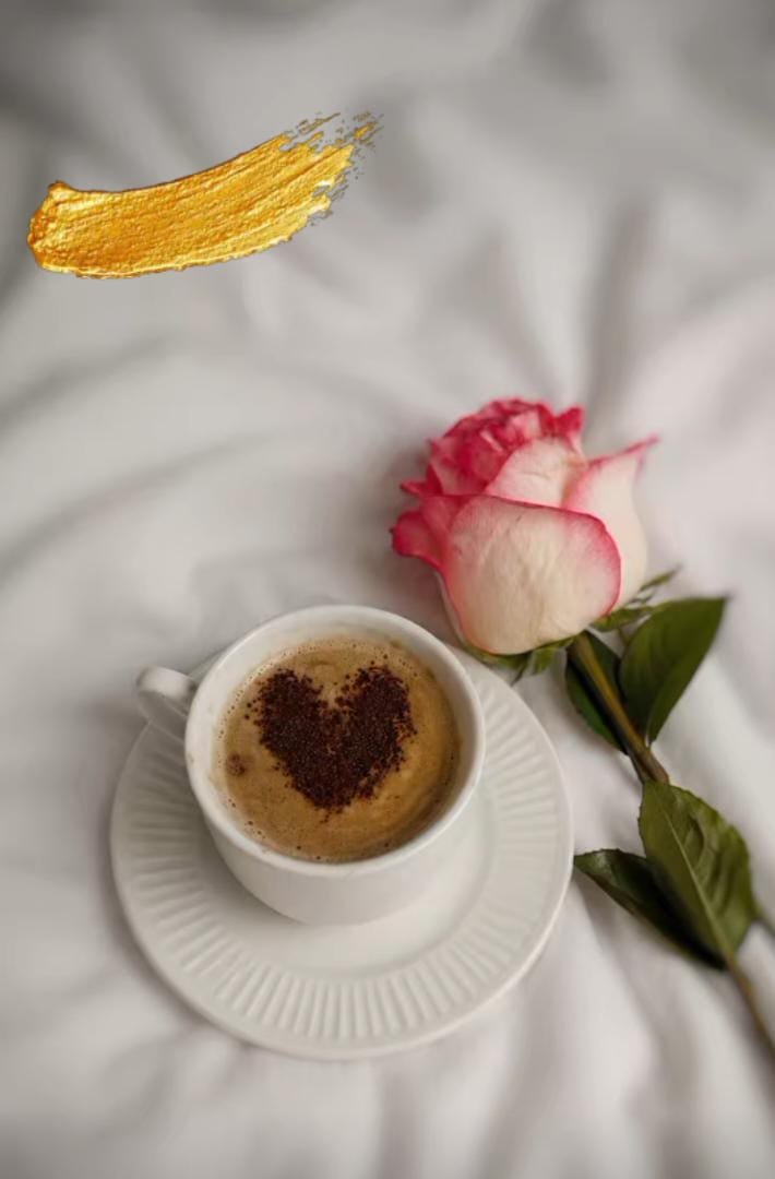 khlwd6678's tweet photo. مـسـاء الـخـيـر ✨️🌱

فلنصنع لأنفسنا أجواء إيجابية، ولنعتزل كل ما يؤذينا ولا نلتفت..! https://t.co/OVu77UemhA