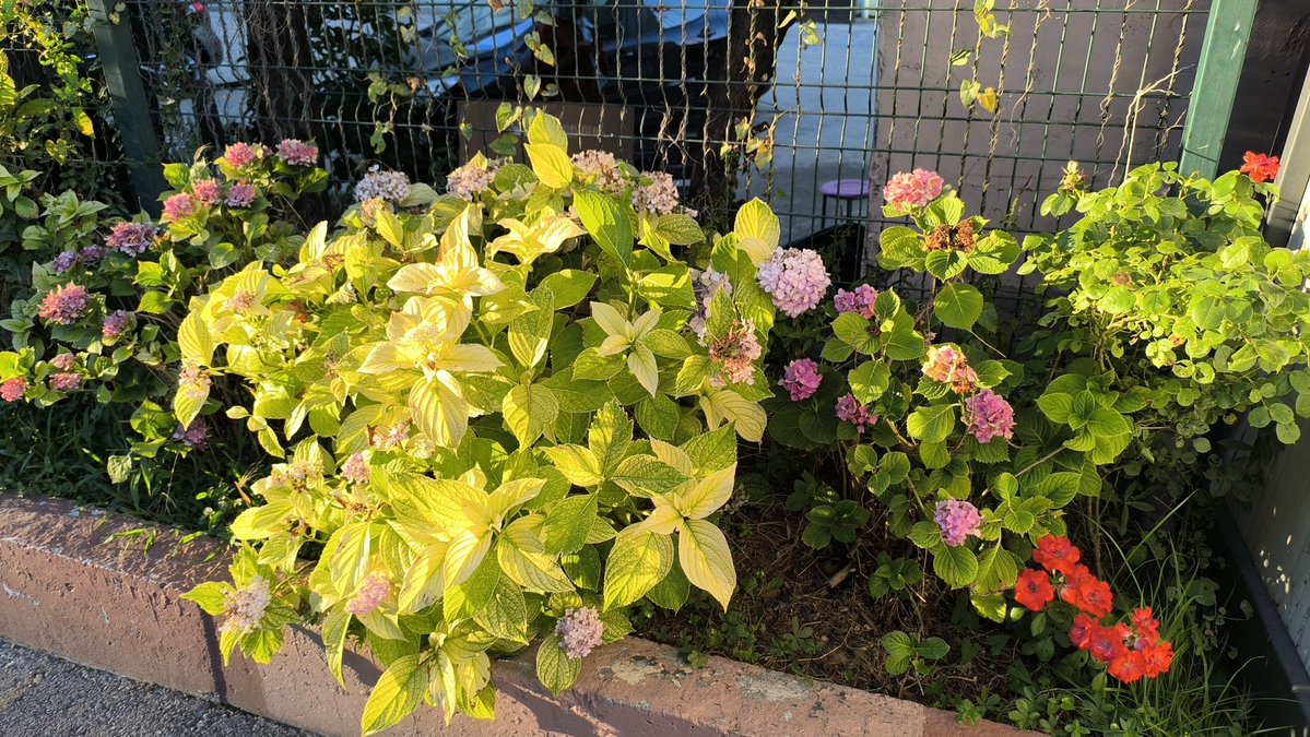 Mulahza's tweet photo. Çiçeklenin✨🌷 https://t.co/VjteBE6T9B