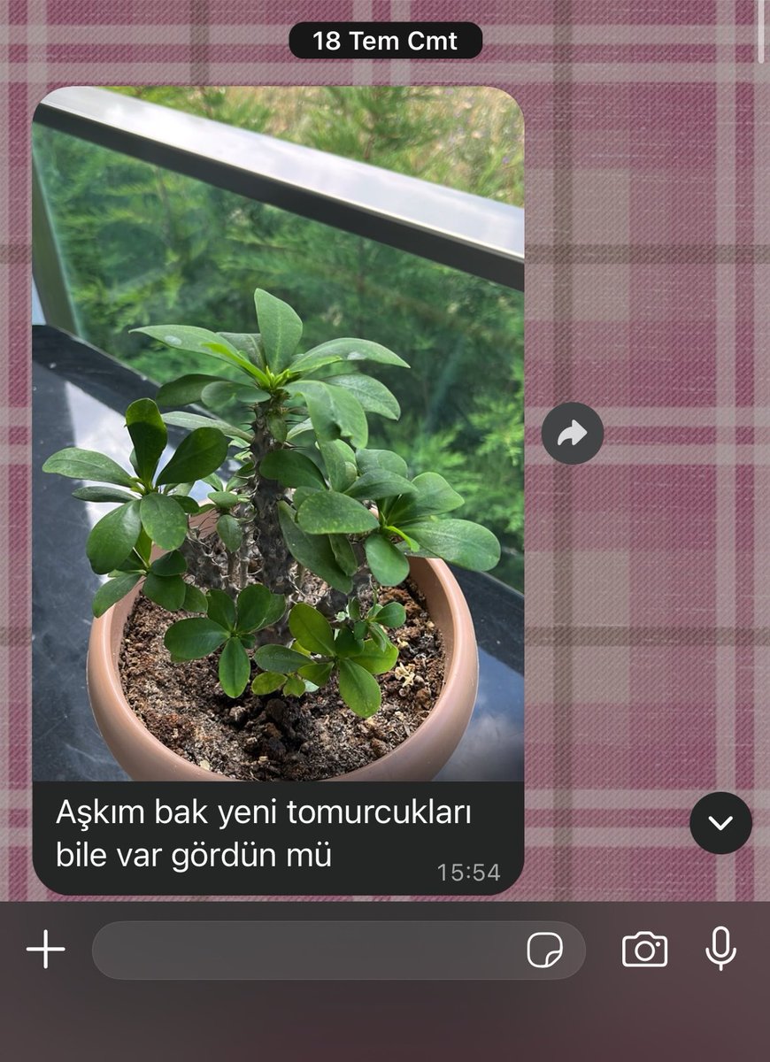 halide_aksan's tweet photo. bacıma konya’dan eve dönerken çiçeğimi bırakmıştım belirli aralıklarla bana bilgilendirme geçiyorrrrrr. ya bu kız bal olsayyymıışşşşşş😭🫂💞💕💖😚🩷💕🩷💞🩷😭💓💓💞💖🩷🫂💞🩷 https://t.co/vXpCyyKa5n