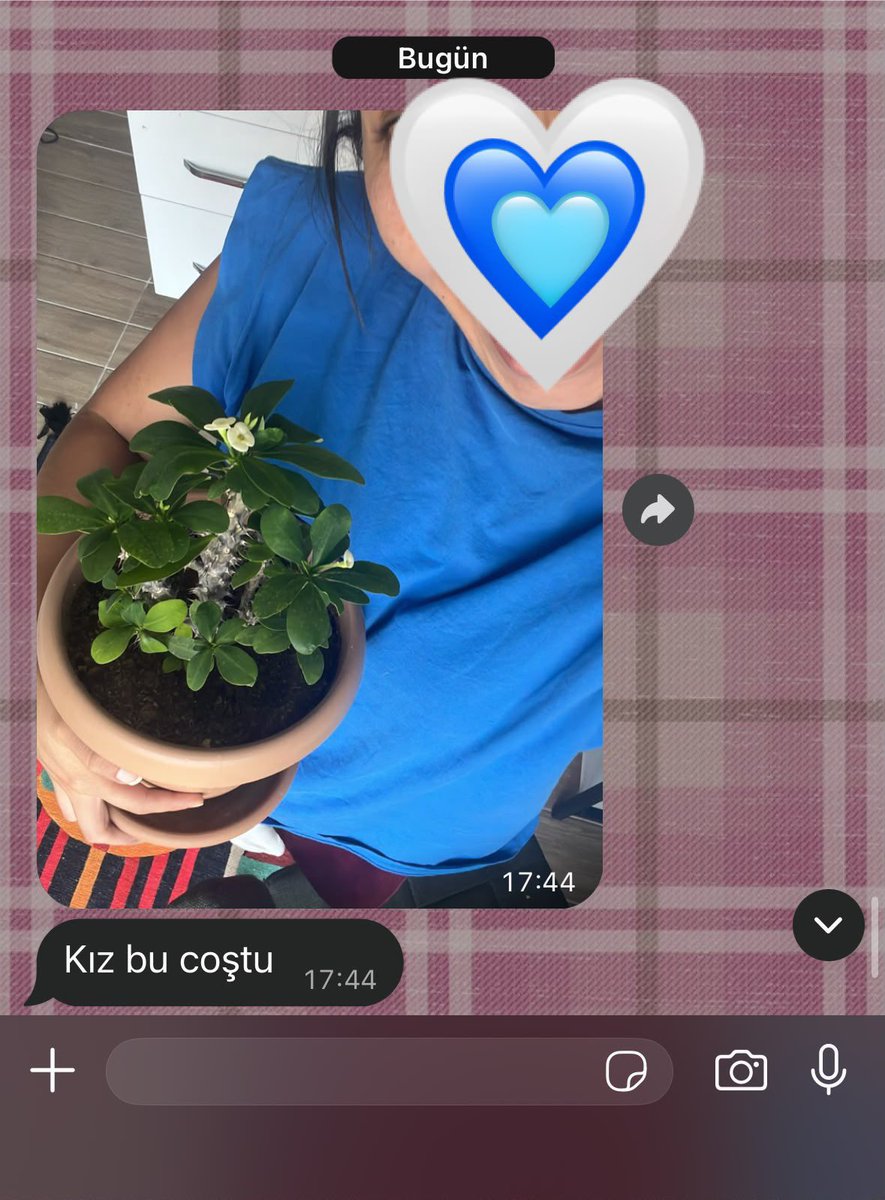 halide_aksan's tweet photo. bacıma konya’dan eve dönerken çiçeğimi bırakmıştım belirli aralıklarla bana bilgilendirme geçiyorrrrrr. ya bu kız bal olsayyymıışşşşşş😭🫂💞💕💖😚🩷💕🩷💞🩷😭💓💓💞💖🩷🫂💞🩷 https://t.co/vXpCyyKa5n