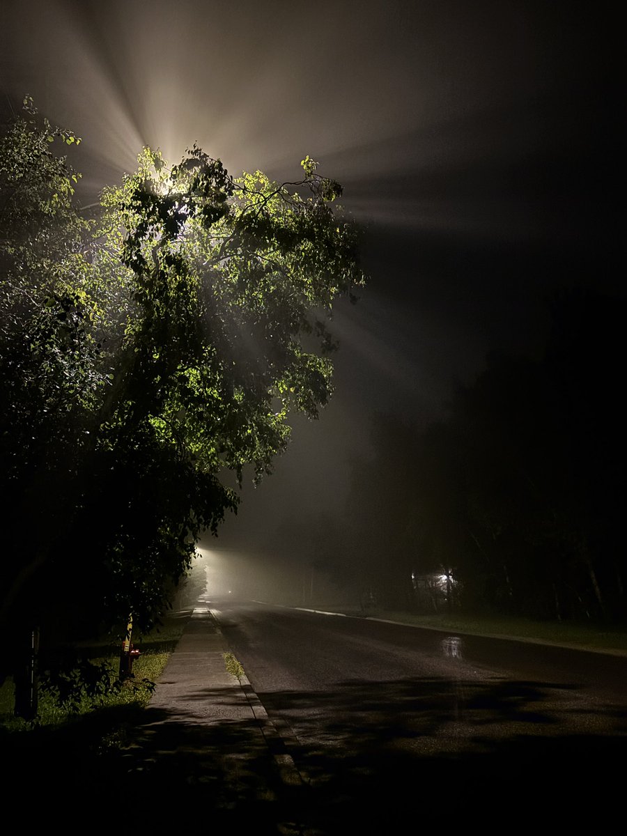 unllikelyjane's tweet photo. drunk me thought this was aesthetic and drunk me was right highkey https://t.co/9ZNdPbpiyv