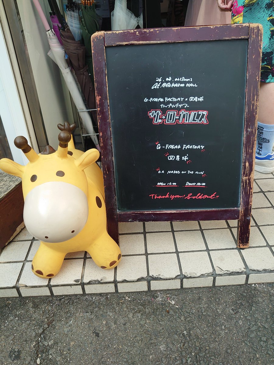 ACIDCATMAN's tweet photo. 初箱KAZOOHALL
とてもよい箱でした🎶

一日でも早くダディダーリンを歌わなくても大丈夫になる日がくるといいな…

『いつかその平和とやらを誰かが破くのでしょうか 』

ここの歌詞が真実味をおびてきていて心がグワッてなった😣

いろんな感情になったけど
アンコールらしくあれときて笑顔で〆😊 https://t.co/efsEeJJb1E