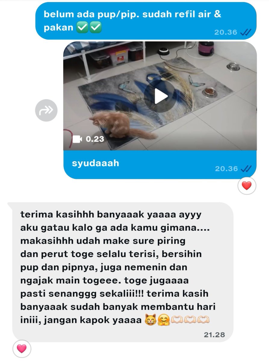 Seputihkain's tweet photo. done for today! 🐱✨️ https://t.co/PdMBrjPyRN