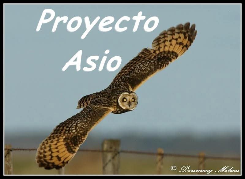 alejandromorici's tweet photo. #ProyectoAsio https://t.co/gii7KBvAO5