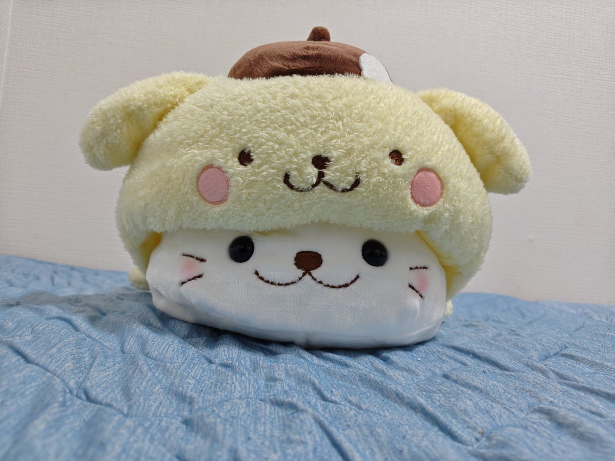 8fuuuchan's tweet photo. 家に大中小のしろたんいるのに
好きと好きがコラボしたから買ってしまった🥺
しろたんとポムプリは反則でしょ
この子だけはお犬様のベッドにならないように死守しなければ https://t.co/m7yDukvirB