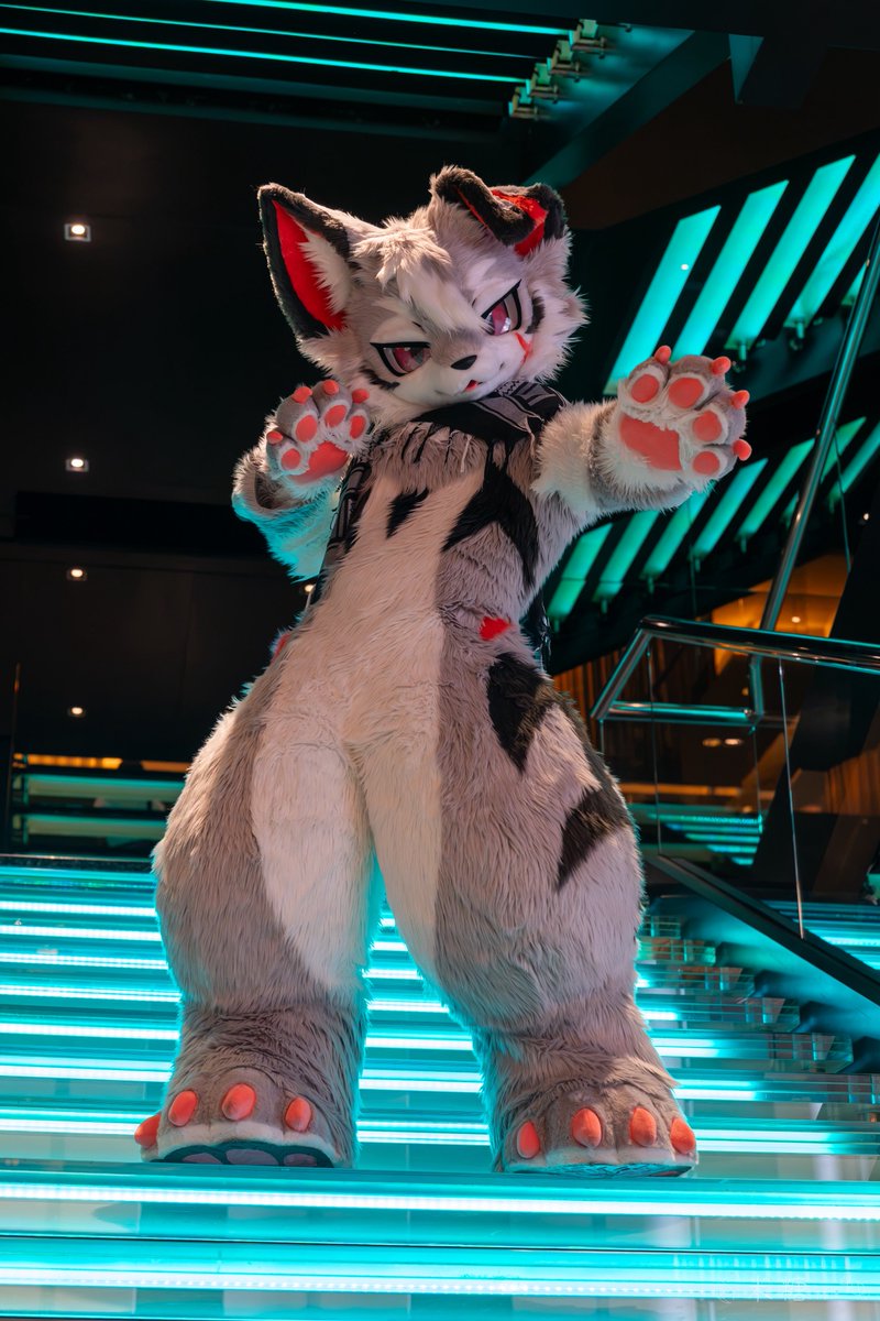 Anya_oOkami's tweet photo. ぽっちゃり

📷：@Maltose_m 

#ケモノをみて今週もがんばりマンデー 
#FursuitEveryday https://t.co/xBo96NfcNr