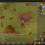 Photo by Geørge (@DBCooperOSRS)