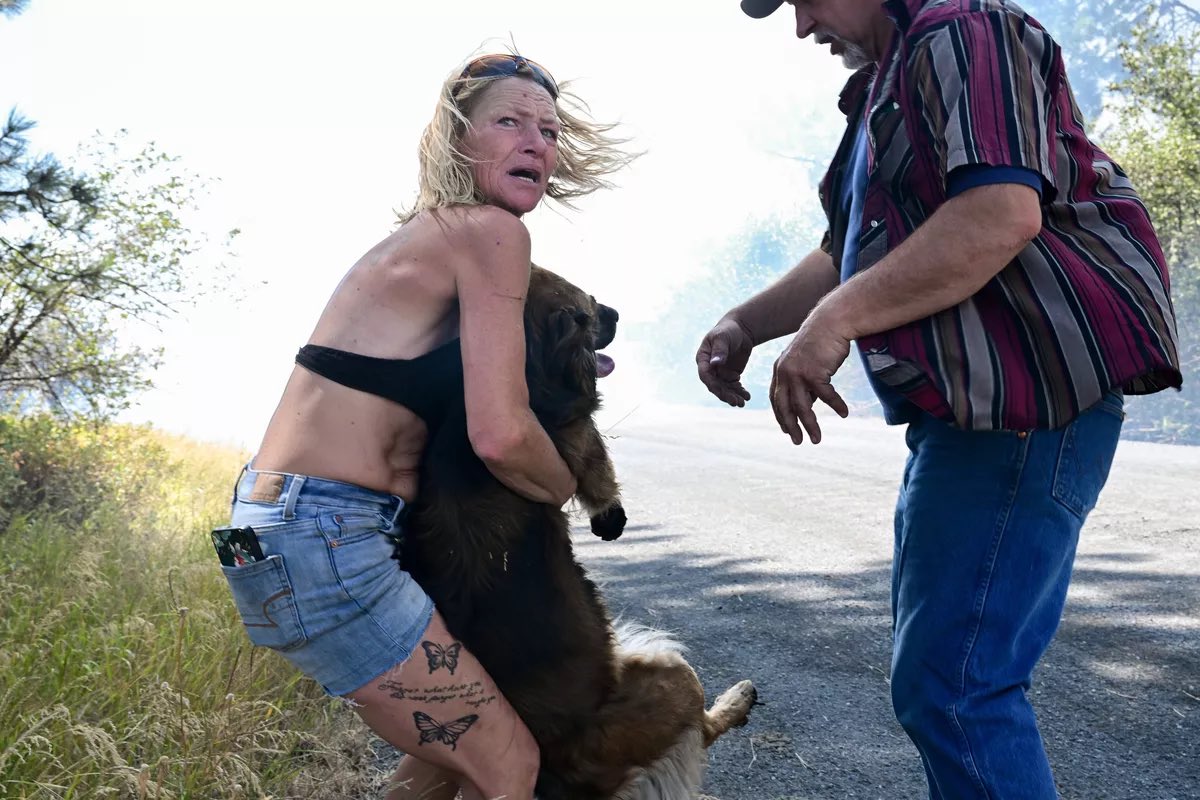 907Britt's tweet photo. Prayers for our neighbors in Spokane. We have a brief respite from the heat wave but that brings more winds to our drought-stricken area. This is not going to end anytime soon.
Heartbreaking photos by @tylertjomsland https://t.co/pmzFwRZkky