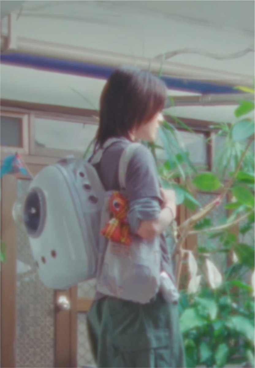 sukinayuta's tweet photo. carrying all the cat carrier, cat wand, toys, and other cat supplies PLEASE YUTA IS THE ACTUAL CAT 🐱🤏🏻 https://t.co/Aa5q3gVzFS