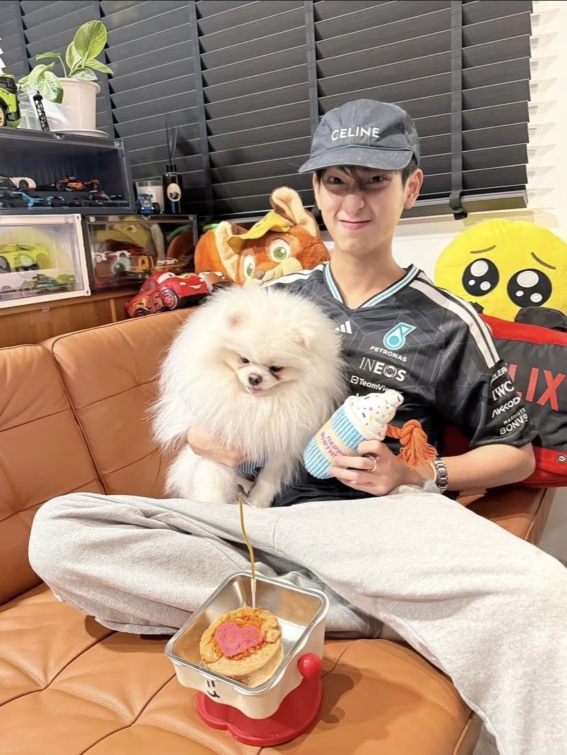 SingChimonID's tweet photo. 020826 
Pembaharuan postingan Instagram pet.carsxr bersama Chimonac💛

“Selamat ulangtahun MCQUEEN!”

pet.carsxr, Chimonac https://t.co/y8VJGk7gYv