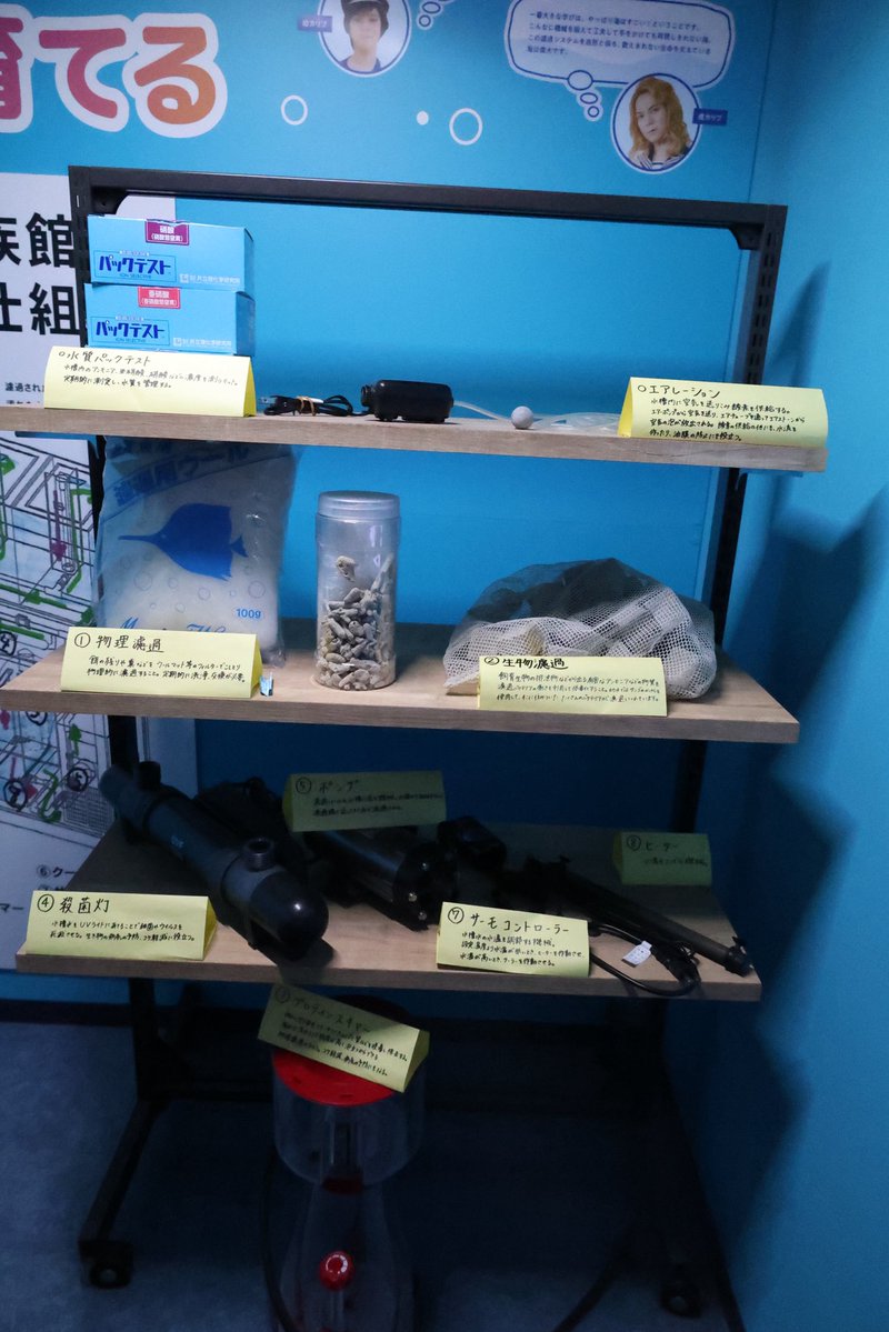6vbhz's tweet photo. 海水槽やってる身として
この展示わくわくする https://t.co/ATnhjwSLJ1