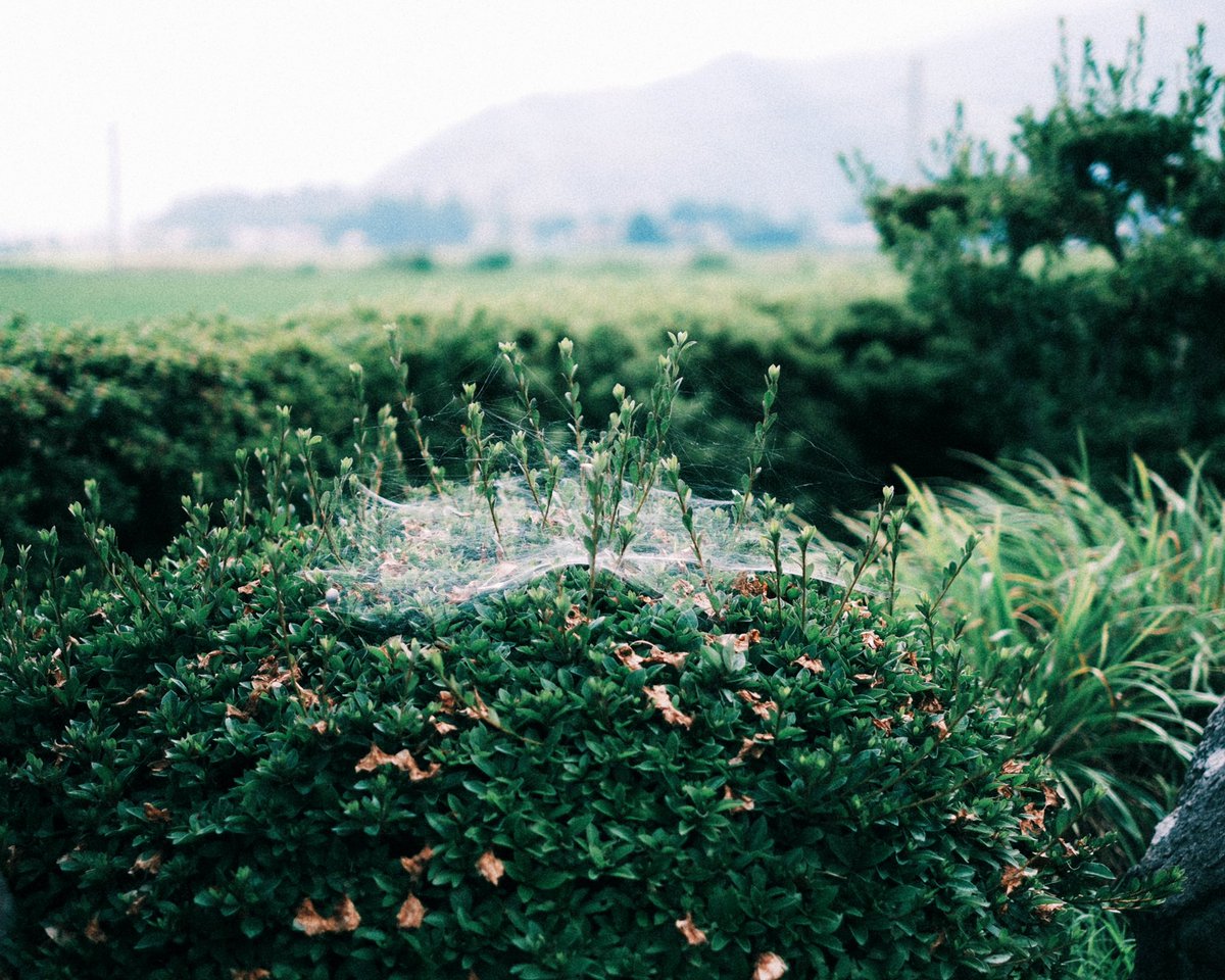 _photo0405's tweet photo. fujifilm x-t5 https://t.co/0h2wjivJBY