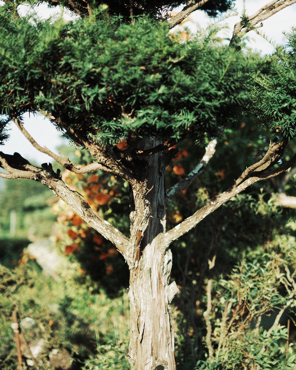 _photo0405's tweet photo. fujifilm x-t5 https://t.co/0h2wjivJBY