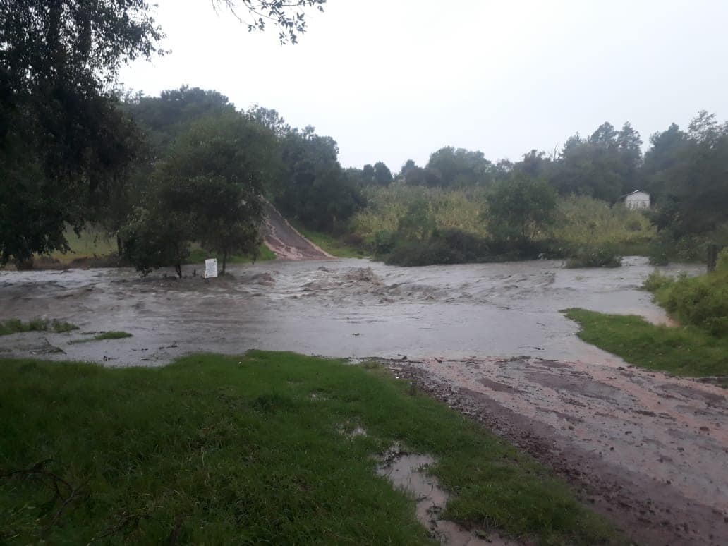 Trafico_ZMG's tweet photo. 🚨 Niña de seis años fallece ahogada en el río Tomatlán 🌊

Una menor de seis años perdió la vida tras ser arrastrada por la corriente del río Tomatlán, cerca de la cabecera municipal. 

La pequeña intentaba cruzar el afluente en una zona profunda junto a sus dos hermanos. 

Rescatistas y ciudadanos recuperaron su cuerpo🛑

#TráficoZMGPeriodismoCiudadano