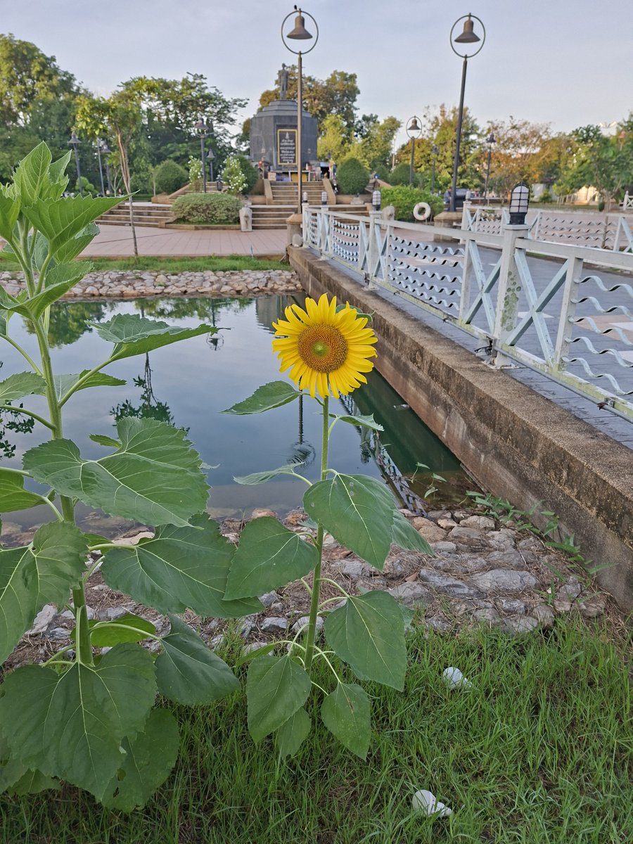 FerFex182592's tweet photo. นับนวดนอกสถานที่ในเมืองชุมพรแอด0643242588 https://t.co/xoDNrQwSSE