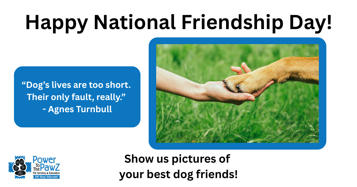 PowerToThePawZ's tweet photo. Happy National Friendship Day! "Dogs' lives are too short. Their only fault, really." - Agnes Turnbull. We'd love to see pictures of your best dog friends! https://t.co/DRvB7fEkrw