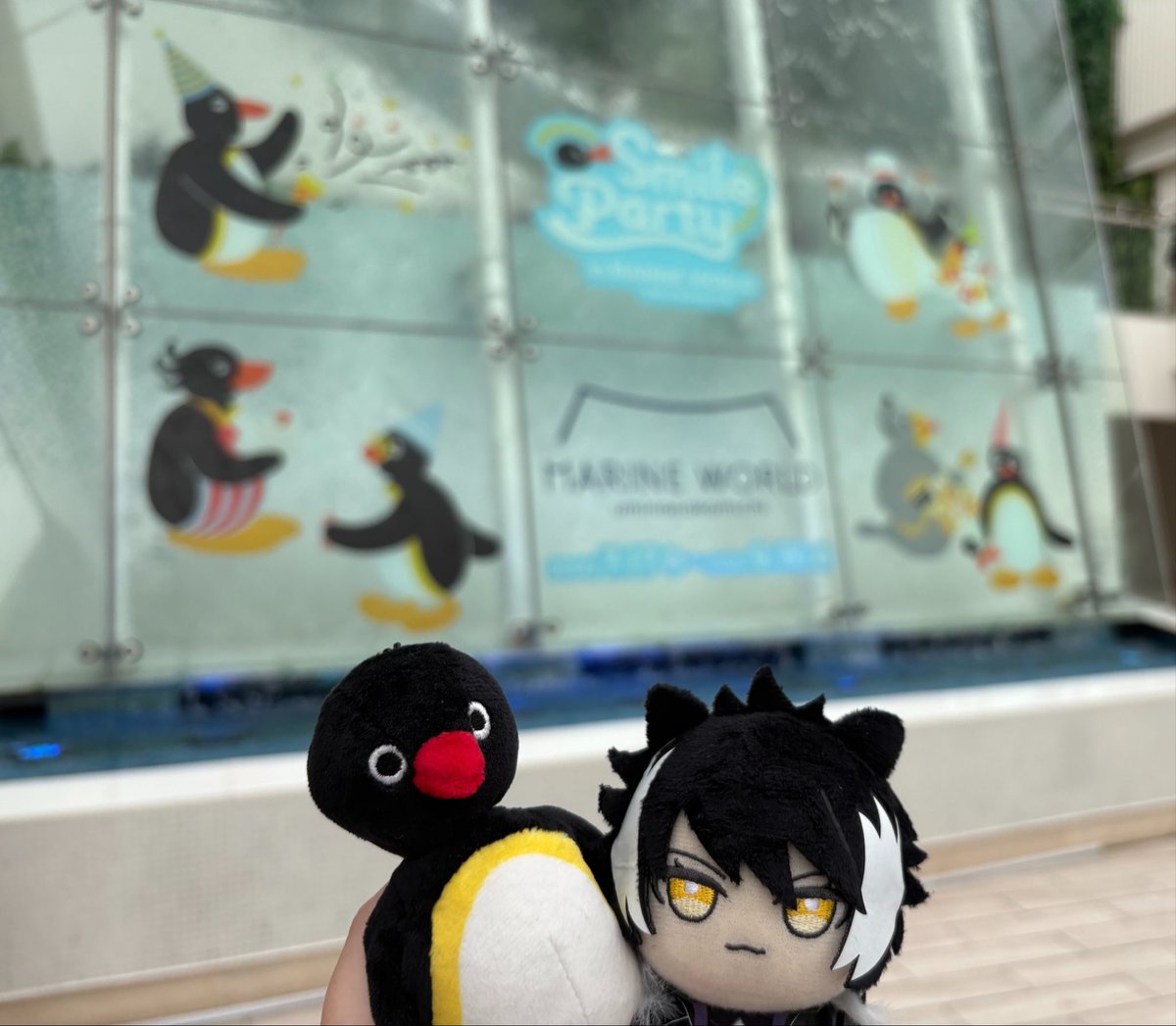 szkszkszk777's tweet photo. マリンワールドがピングーコラボ期間中だったので行ってきた！！メインのペンギンゾーンは屋外だったからめっちゃ暑かったけどピングーいっぱいで可愛かった！！！ https://t.co/VuPQ4bKIUp