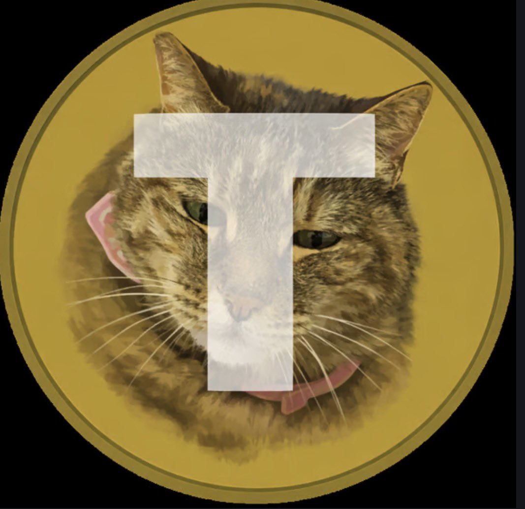 SMALLCHINESEFAM's tweet photo. All CATECOIN FOLLOWERS ‼️
I have some insane lore the Solana trenches needed! 

Before $CATE there was solana:CNcdcQ4PJPDLBJMHa7sTNfoGJz67vs5unj47tqUopump

Don’t say I didn’t tell you.

6k MC

CNcdcQ4PJPDLBJMHa7sTNfoGJz67vs5unj47tqUopump

$TSUTSUJI https://t.co/v547PMiuox