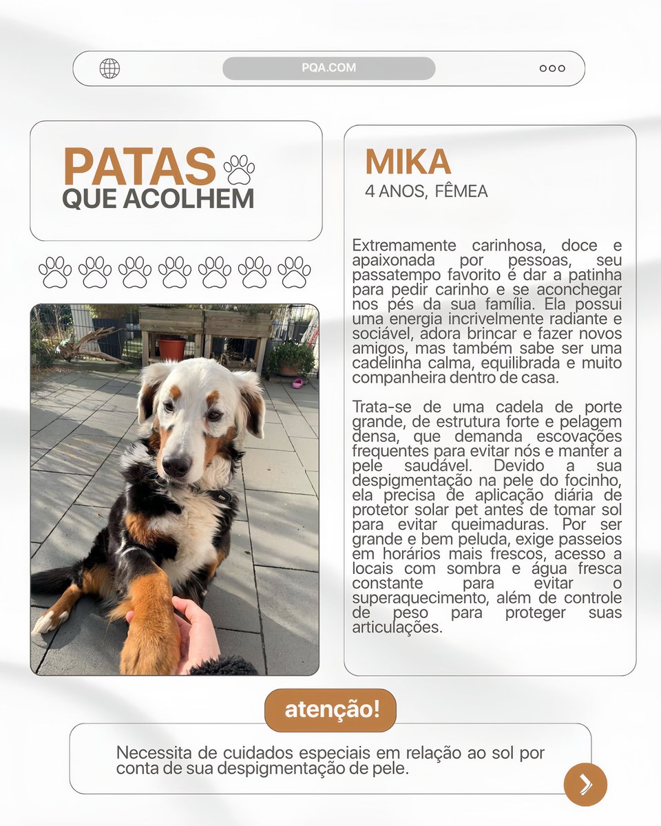 projetopqarp's tweet photo. ⠀⠀
*/. . . 🐾 ˚₊ ‧ MIKA
⠀⠀ https://t.co/w2jwKdXPQQ