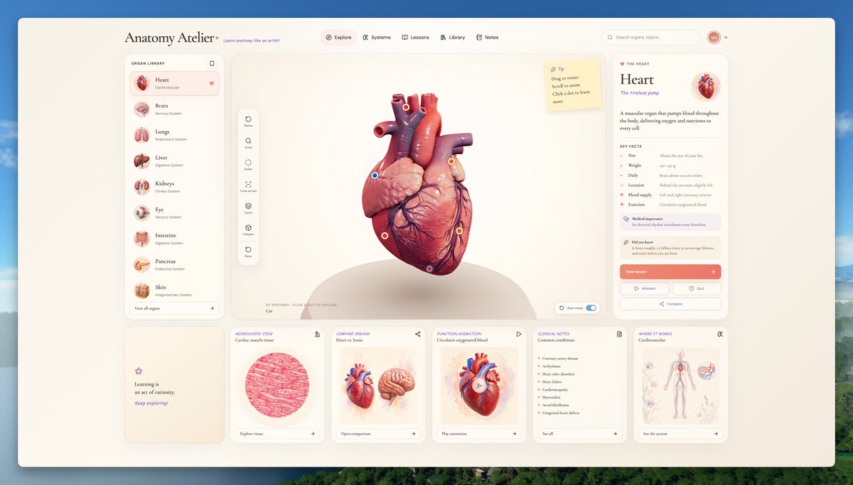 HiTw93's tweet photo. For students majoring in biology/medicine, or anyone who likes biology, you can take a look. It feels very professional and really makes you feel like you're learning something.

https://t.co/pPv1EdFUBU https://t.co/Ti9zxI2OzH