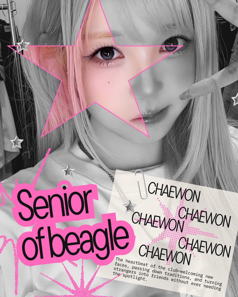 decemburnt's tweet photo. A senior no longer... I, Chaewon, have shown that I’m Beagle-pack mentor material and I deserve every biscuit! Here’s to more walkies together! 🐾 https://t.co/42fR3QH42v