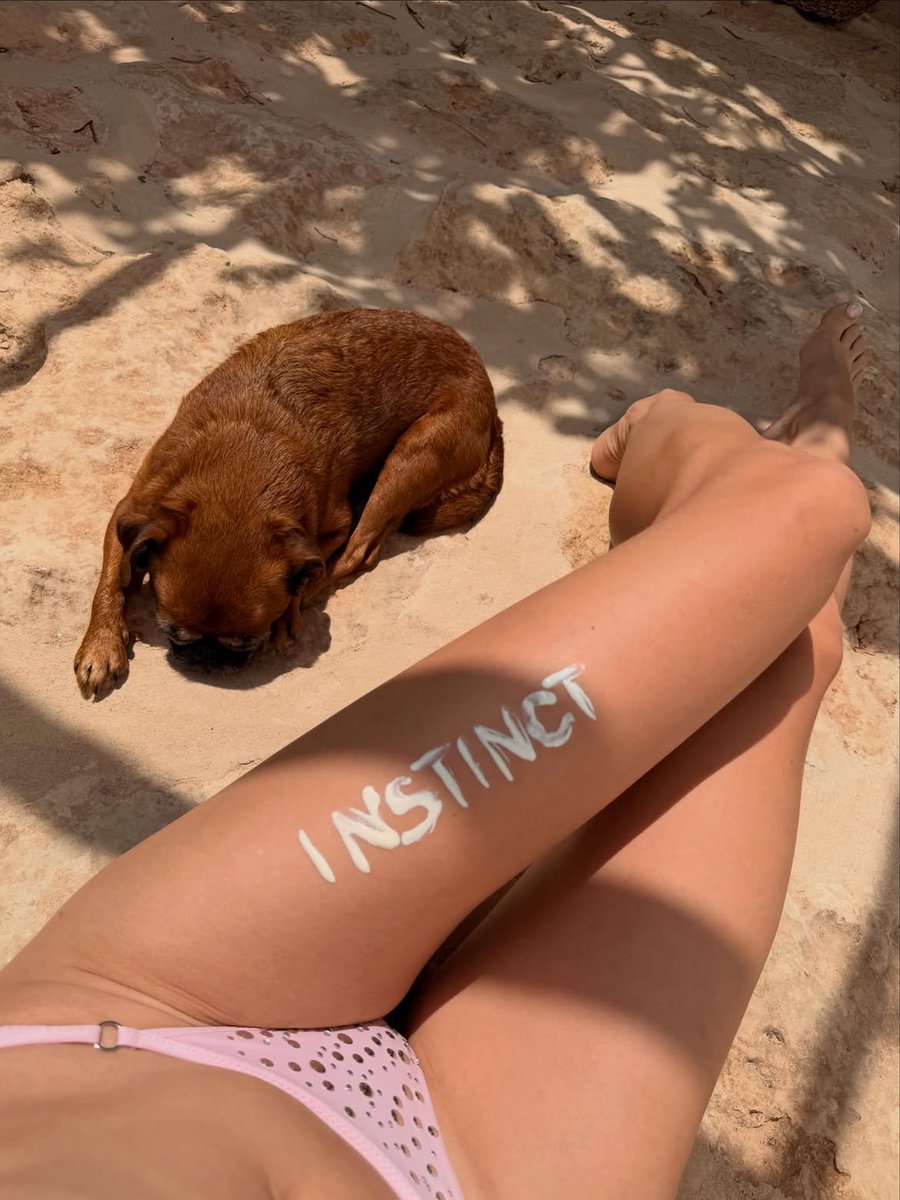 LucaPer23055235's tweet photo. Angèle sur insta 🫶😻👑😊😎🤩💜☀️🇧🇪😉💋🥰❤️😍😘🍒👙 https://t.co/ol7k6Jj5xP