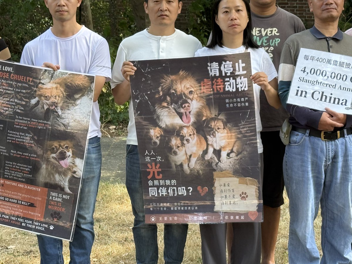 feilung_lau's tweet photo. A Taiwanese woman residing in the Netherlands commented on FB last week that she would join today's peaceful vigil for Wangwang at the Chinese Consulate in The Hague.
Yesterday morning, she found a missed call on her phone. A quick search revealed it was from the official number of the Chinese Consulate in the Netherlands!
She has NEVER shared her phone number with the Chinese embassy. How did Beijing get her private contact details? Is this digital surveillance or blatant transnational intimidation?
#TransnationalRepression #JusticeForWangWang #TheHague #Netherlands #HumanRights
@MaleficentLady @Aincident_watch