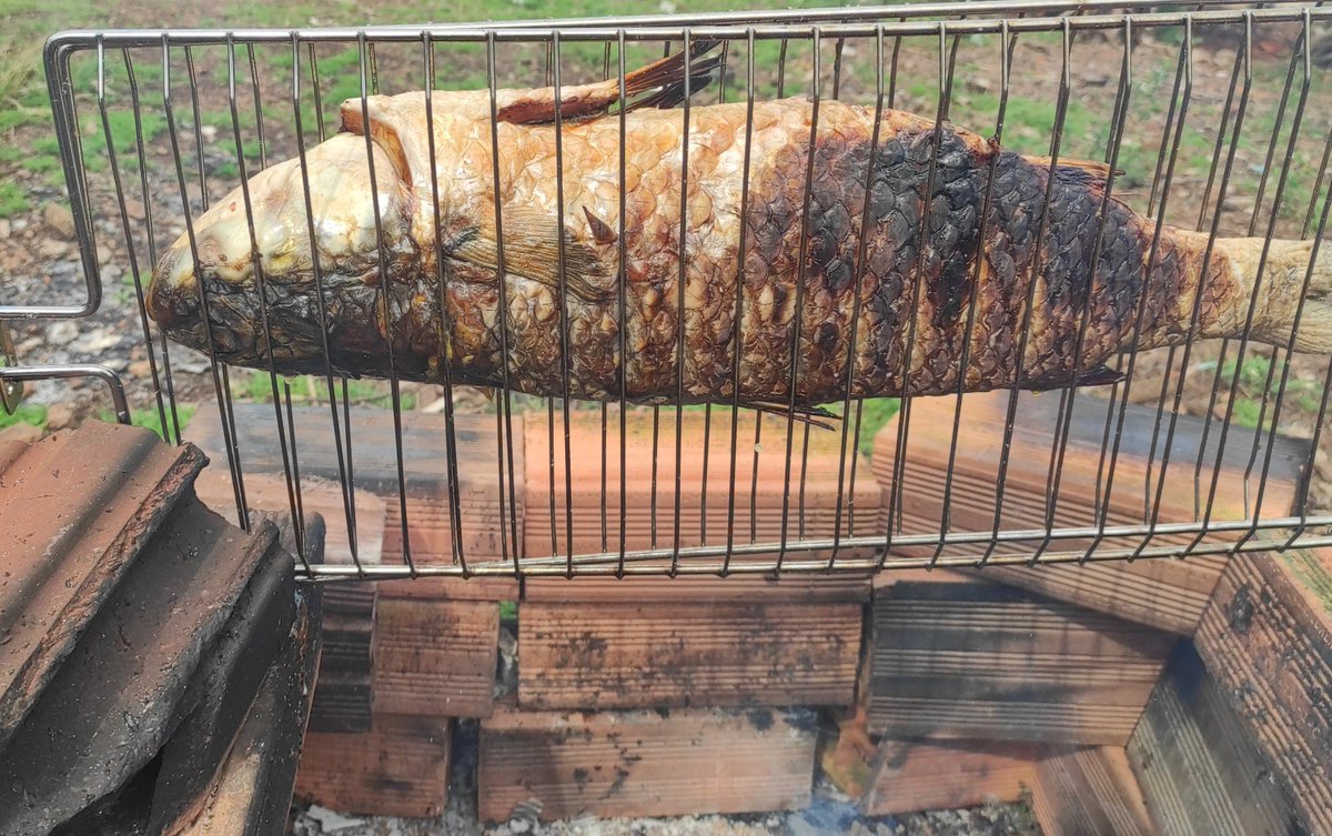 diseasers's tweet photo. cacei esse peixe com a boca, improvisei a churrasqueira, temperei com água do mar, fiz fogo batendo pedra em pedra pra ele assar e agora vou comer . https://t.co/8Cp8n3Tsb8