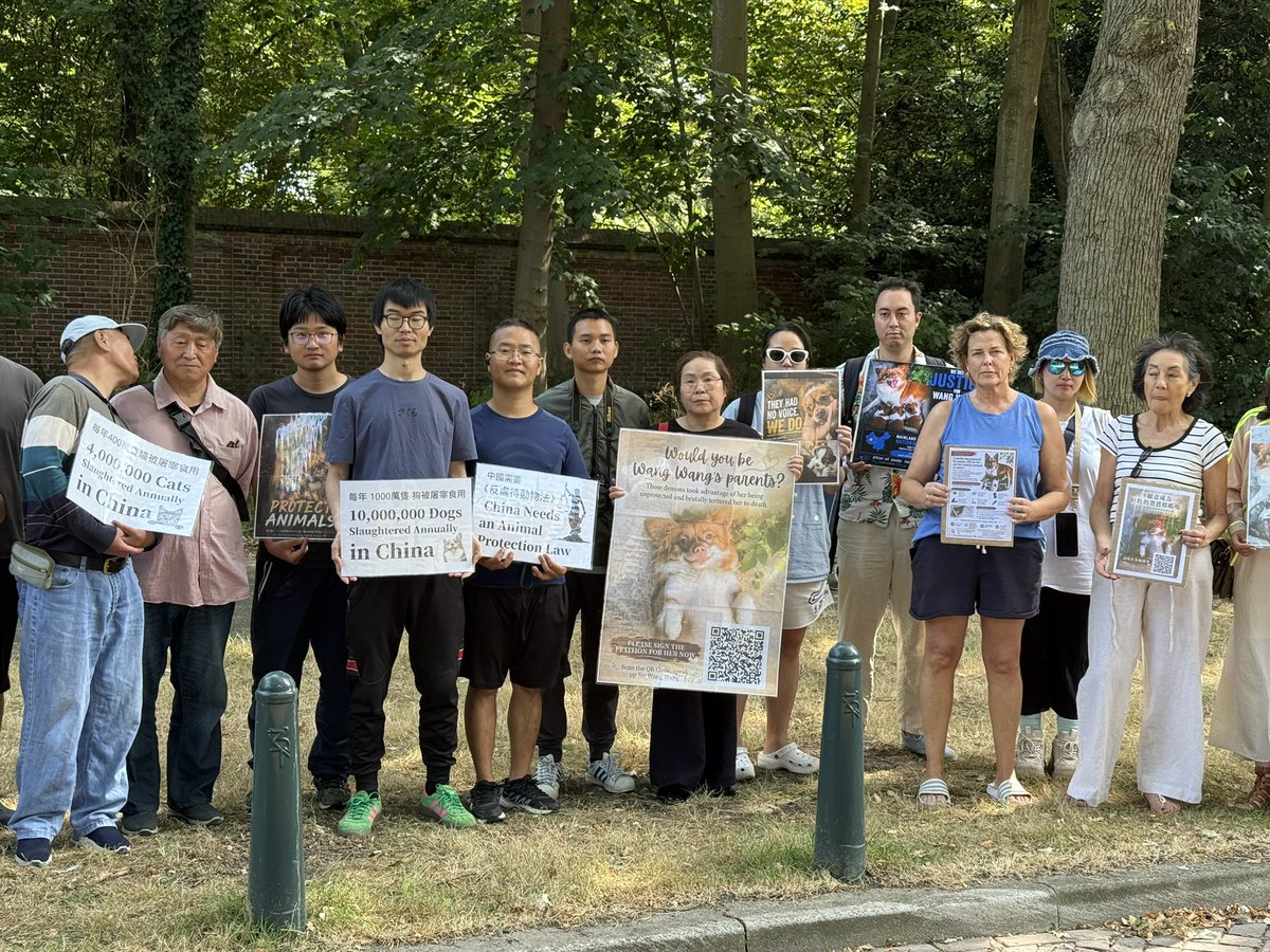 feilung_lau's tweet photo. 一位居住在荷蘭的台灣女士，上週在 FB 留言表示將參加今天在海牙中國領事館悼念狗媽媽旺旺（Wangwang）的和平集會。
結果昨天早上，她的手機接到一個未知來電——上網一查，居然是中國駐荷蘭領事館的官方電話（070-3065091 / 或具體號碼）！
她從未向使館提供過手機號。中共的跨境監控網絡究竟是如何拿到海外普通民眾私人電話的？這是在進行線上記錄，還是赤裸裸的跨國威嚇？
#跨國鎮壓 #JusticeForWangWang #TheHague #Netherlands #ChinaTransnationalRepression