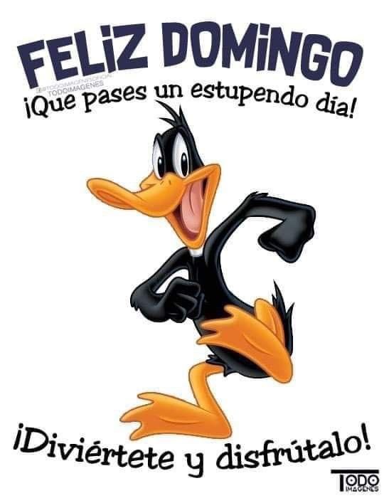 nini__405's tweet photo. Buenos días mutis y no mutis, como amanecieron???? https://t.co/ak2V4Zvtkj