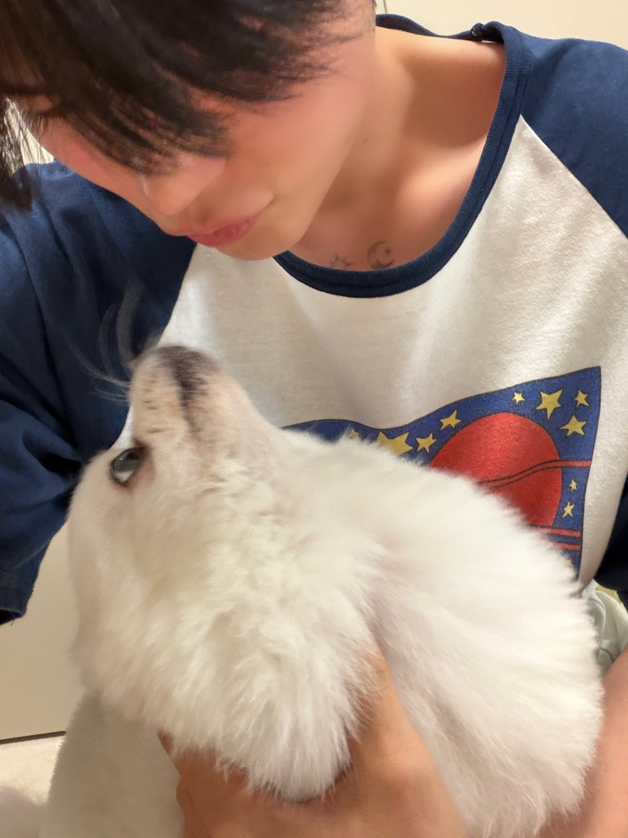 shbpics's tweet photo. 🐶💬 https://t.co/FRVmAzBtmJ