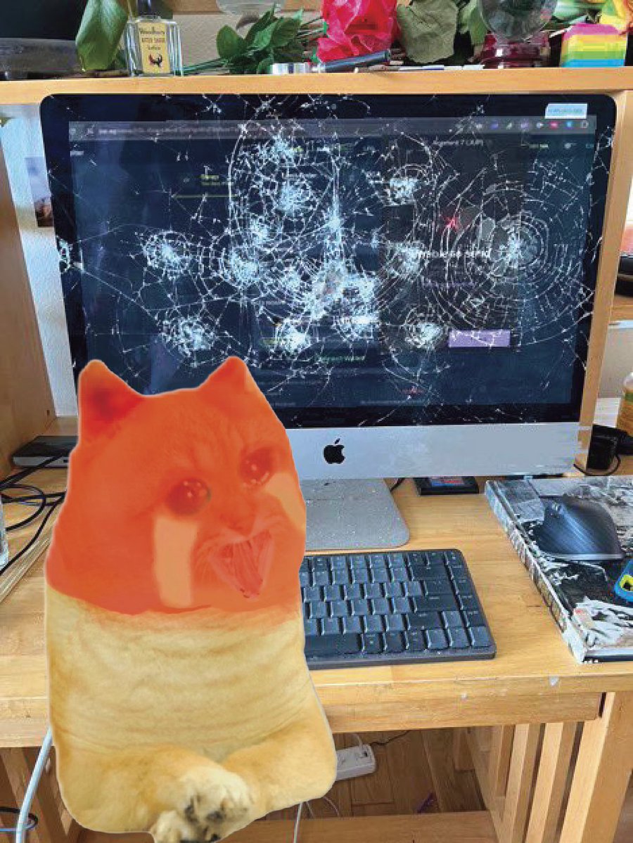 Cate tweet media