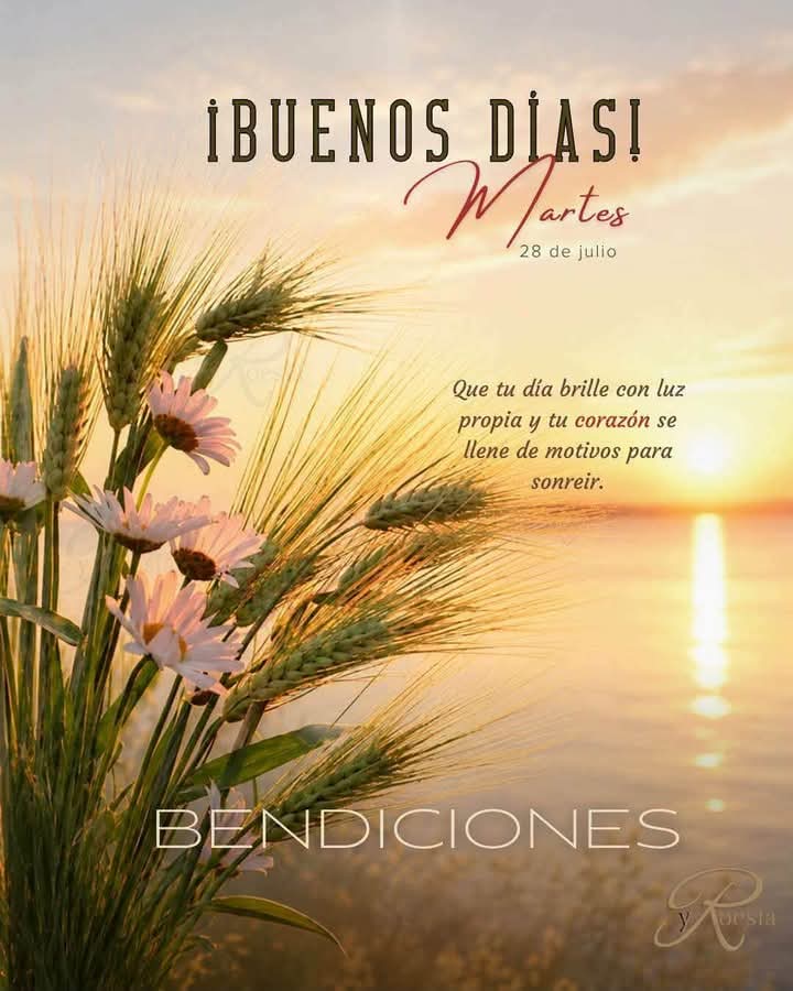 pedrogarcilazo6's tweet photo. @luche_70 Buen día
Sra bonita https://t.co/LusSZuZL3J